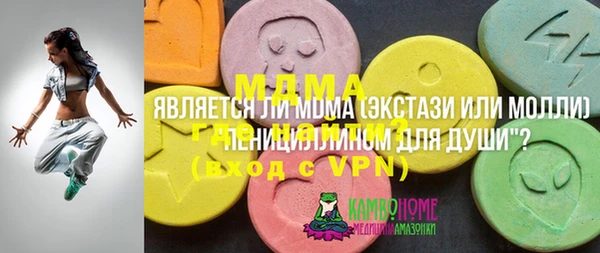 ГАЛЛЮЦИНОГЕННЫЕ ГРИБЫ Верея